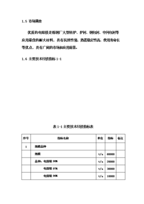 (终稿)电熔镁生产线新增项目可行性立项申报论证报告.doc(最终版)