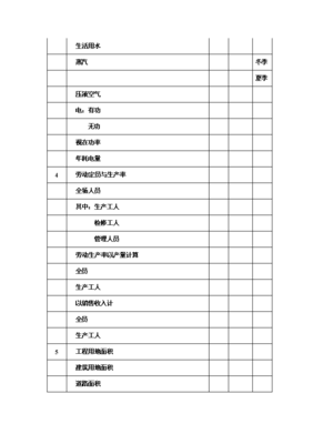 年生产6万吨电熔镁生产线项目投资申请报告(V8.1)
