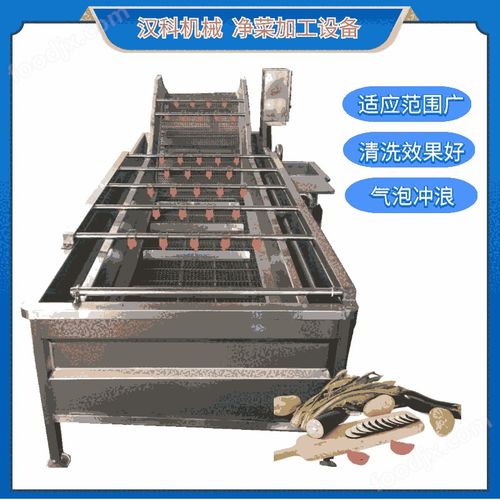 蕨菜加工翻浪式清洗机